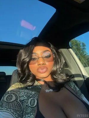 Pyteee Thumbnail Picture