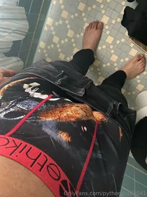 Pythonpapi1041 Thumbnail Picture