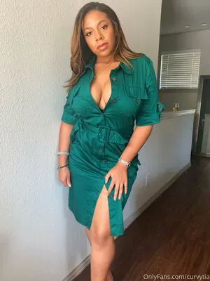 Realtexascurves Thumbnail Picture