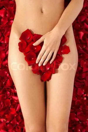 Red Rose Thumbnail Picture