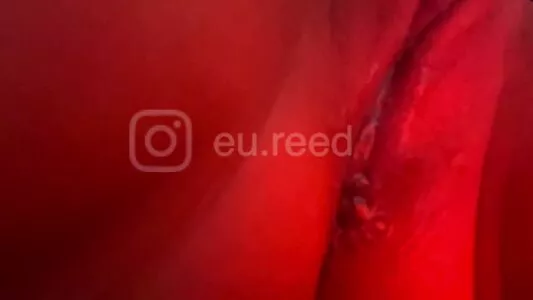 Reed_Cht OnlyFans Leaked Free Thumbnail Picture - #2LlRbV4gEc