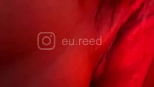 Reed_Cht OnlyFans Leaked Free Thumbnail Picture - #Mx7FVDlq0G