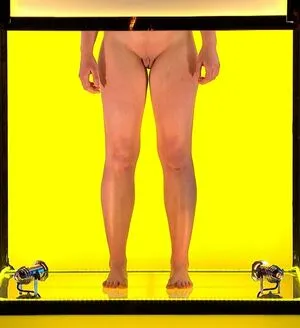 Renee Somerville Thumbnail Picture