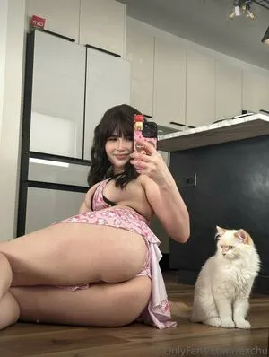 Rexchu Thumbnail Picture