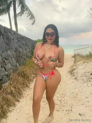 Sandraaurey OnlyFans Leaked Free Thumbnail Picture - #ZusBBSetK0