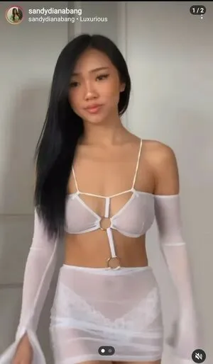 Sandydianabang Thumbnail Picture