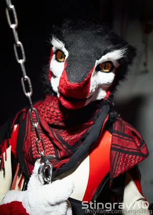 Sergnderg OnlyFans Leaked Free Thumbnail Picture - #LyiOF6mD6t