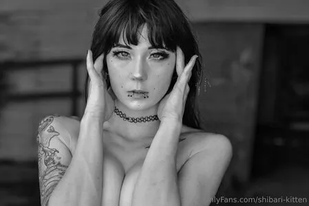 Shibari Kitten OnlyFans Leaked Free Thumbnail Picture - #QvW7cRQfk4