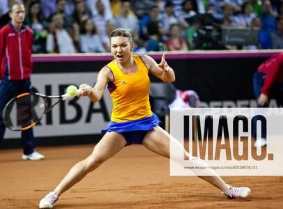 Simona Halep OnlyFans Leaked Free Thumbnail Picture - #S2QhbDWhSv