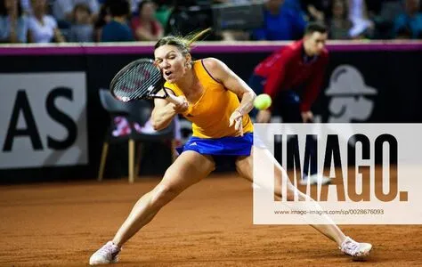 Simona Halep OnlyFans Leaked Free Thumbnail Picture - #xYD5QLvP3v