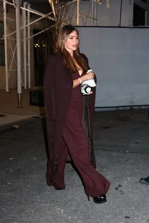 Sofia Vergara OnlyFans Leaked Free Thumbnail Picture - #oL3y1oXBjB