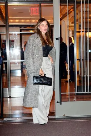 Sofia Vergara OnlyFans Leaked Free Thumbnail Picture - #soVi4fRnj7