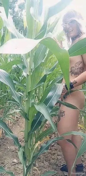 Softboxboi OnlyFans Leaked Free Thumbnail Picture - #60IXZzfHvj