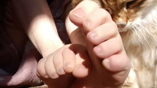 Softcorekittyx OnlyFans Leaked Free Thumbnail Picture - #p9bafkI2kI