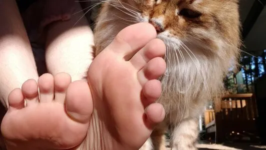 Softcorekittyx OnlyFans Leaked Free Thumbnail Picture - #v0k6U4momH