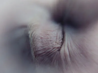 Something About Olive OnlyFans Leaked Free Thumbnail Picture - #VXoAHC0uwi