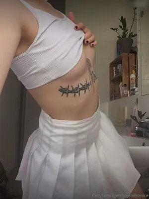 Soymilkonice Thumbnail Picture