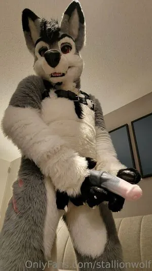 Stallionwolf OnlyFans Leaked Free Thumbnail Picture - #19XhmySgB2