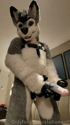 Stallionwolf OnlyFans Leaked Free Thumbnail Picture - #5rSiyVtRJW
