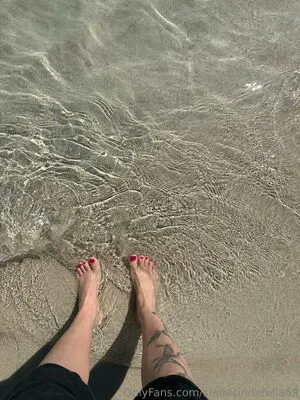 Stellacinderella69 Thumbnail Picture