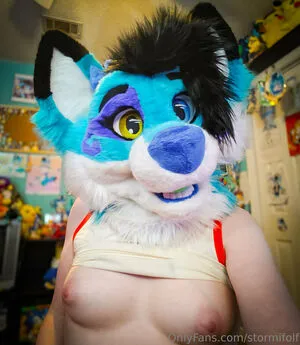 Stormifolf Thumbnail Picture