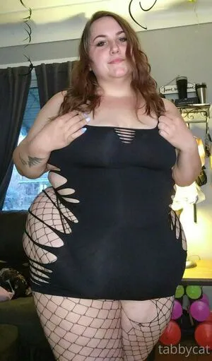 Tabby Cat95 Thumbnail Picture