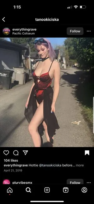 Tanookiciska Thumbnail Picture