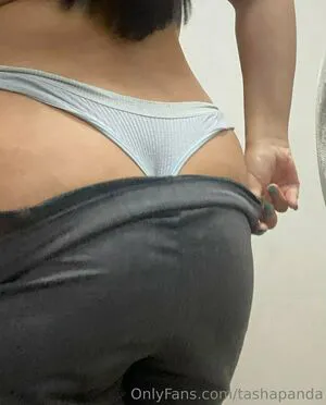 Tashapanda Thumbnail Picture