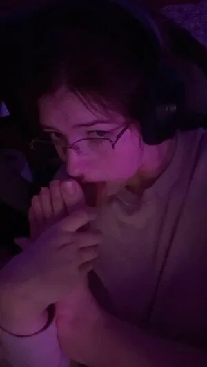 Thdanidaae Thumbnail Picture