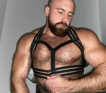 Thebritishbear1 Thumbnail Picture