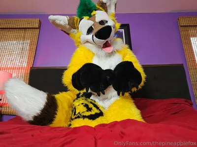 Thepineapplefox Thumbnail Picture