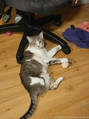 Therealallicat OnlyFans Leaked Free Thumbnail Picture - #M0TjUNPt74