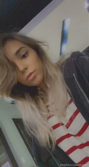 Tinytaco Thumbnail Picture