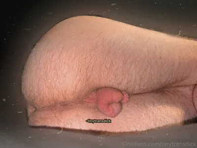 Tinytransdick OnlyFans Leaked Free Thumbnail Picture - #bpK4yohncG