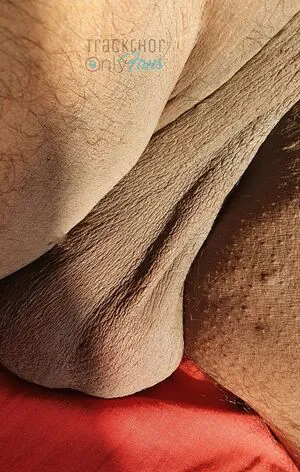 Trackthor OnlyFans Leaked Free Thumbnail Picture - #tDcrAG1lIR