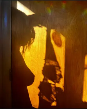 Tslexigray Thumbnail Picture