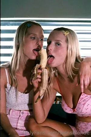 twinsblonde Thumbnail Picture