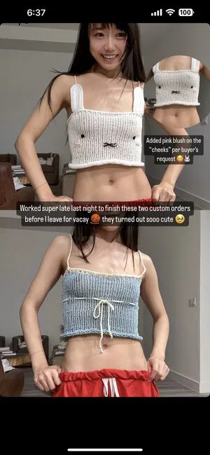 Veganbunnychef Thumbnail Picture