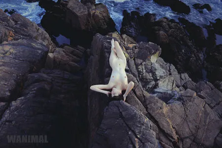 Wanimal Models OnlyFans Leaked Free Thumbnail Picture - #8xOydLNeff