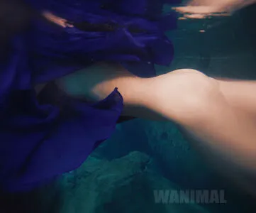 Wanimal Models OnlyFans Leaked Free Thumbnail Picture - #LhObSgZY8Z