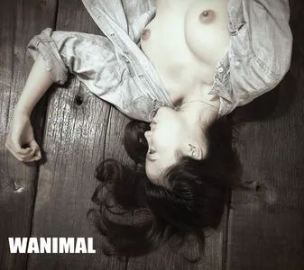 Wanimal Models OnlyFans Leaked Free Thumbnail Picture - #UNIhal5CMM