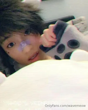 Wavemeow Thumbnail Picture