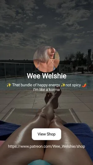 Wee Welshie OnlyFans Leaked Free Thumbnail Picture - #SlEwPyOuSd