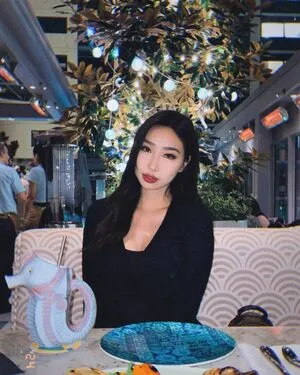 Winterfaerie Thumbnail Picture