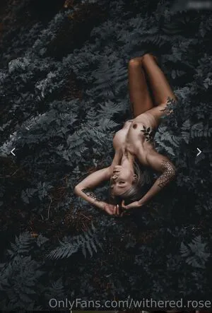 Withered Rose OnlyFans Leaked Free Thumbnail Picture - #gTGib9MIhZ