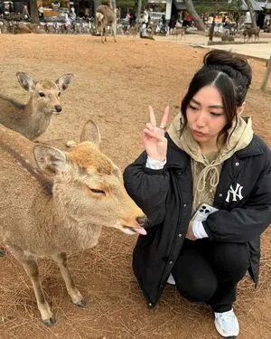 Xchocobars Thumbnail Picture