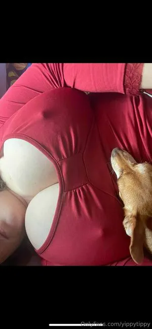 Yippytippy OnlyFans Leaked Free Thumbnail Picture - #yYFfpLt86N