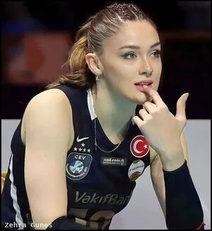 Zehra Gunes Thumbnail Picture