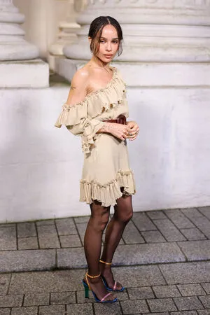 Zoe Kravitz Thumbnail Picture